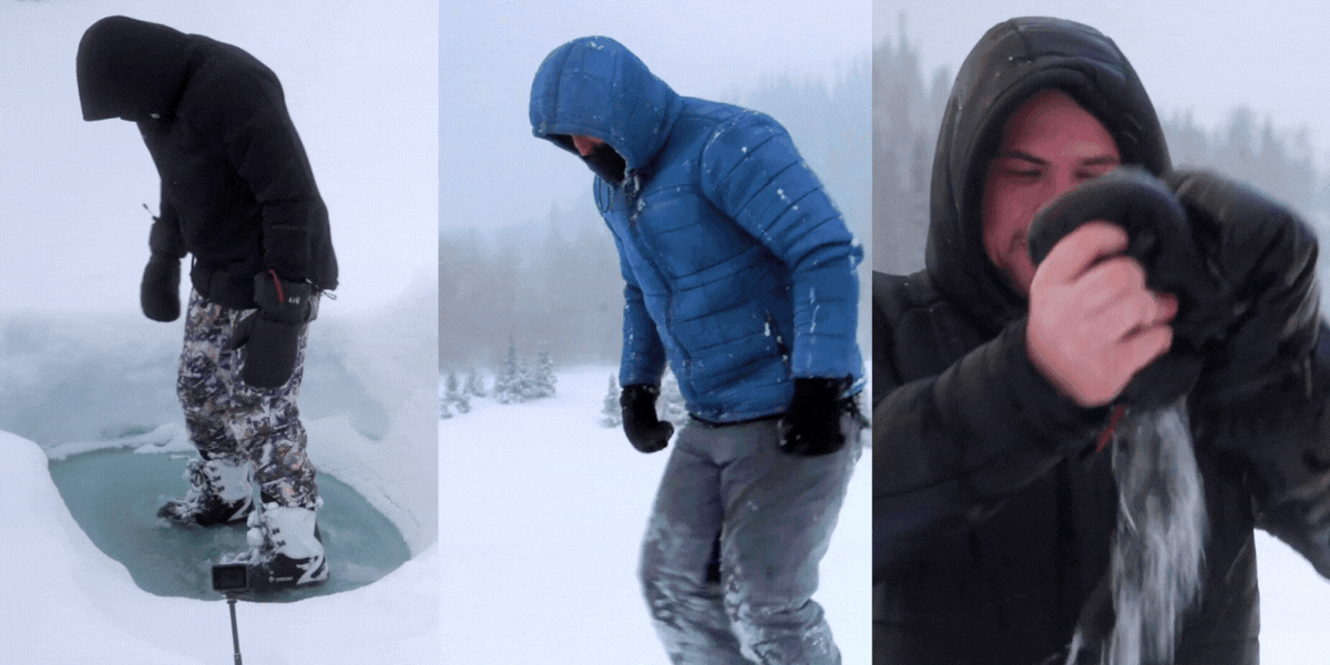 Winter Collection